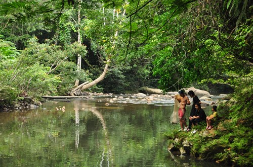 Penan Tribe.jpg