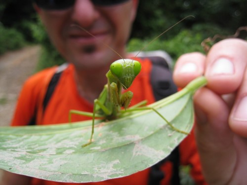 borneo wildlife.jpg