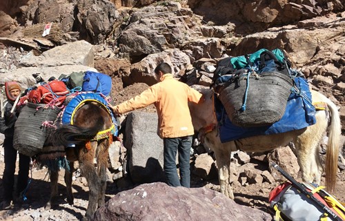 Mount Toubkal - Summer (7)