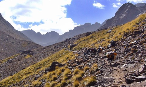 Atlas Mountains - M'Goun Trek (2)