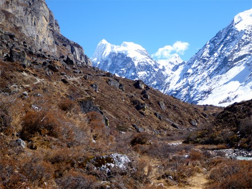 langtang valley trek.jpg