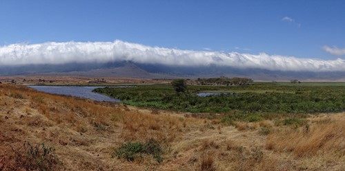 Ngorongoro Crater Rim