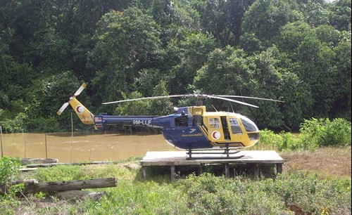 borneo rescue.JPG