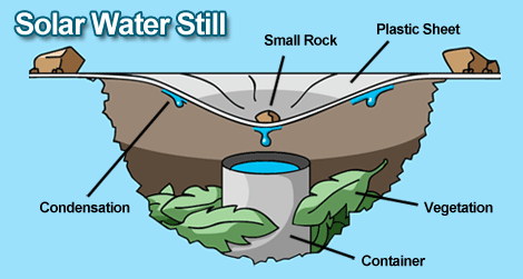 solar-water-still-jungle-survival.gif